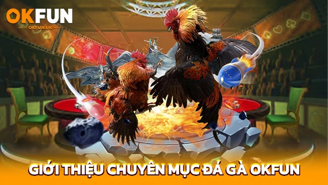 Giới thiệu chuyên mục Đá gà OKFUN